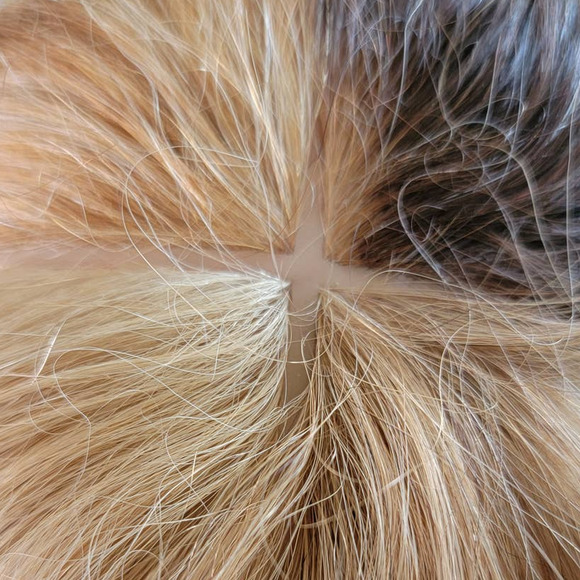 Mannequin Head Hairdressing Cosmetology 100% Human Hair Practice Training Doll - Picture 6 of 7